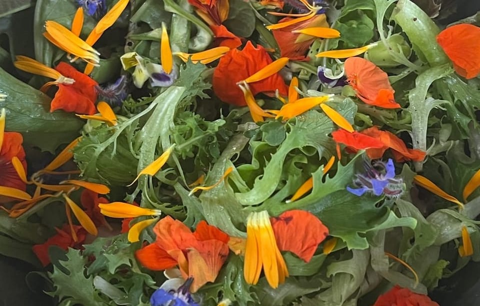 Friends, Roots, and Open Doors